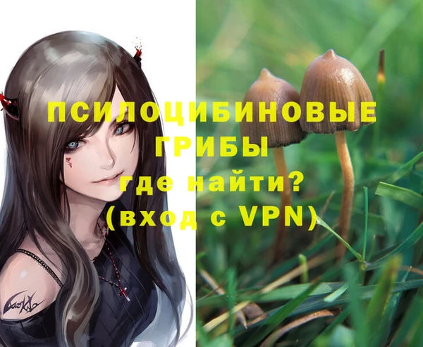 экстази Алексин